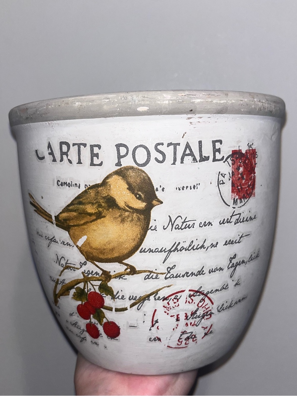 Vintage-Style Bird Postcard Ceramic Planter - White with Yellow Accents